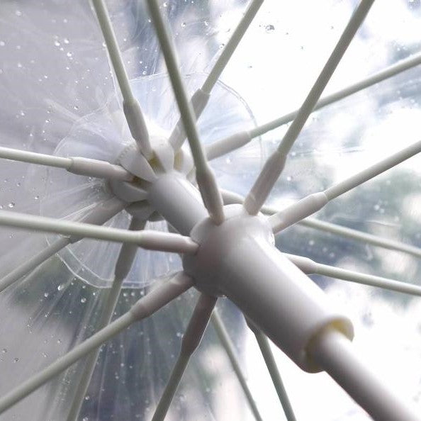 THE / THE UMBRELLA